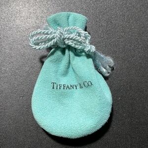 EUC Authentic Tiffany & Co. Suede Jewelry Pouch